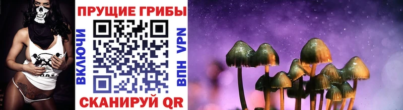 где купить наркоту  Алдан  Галлюциногенные грибы Psilocybe 